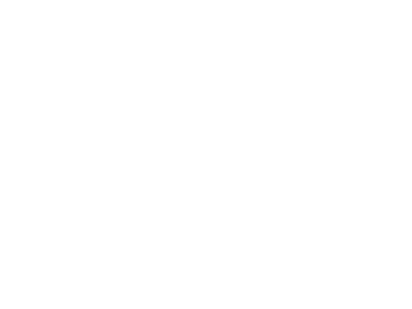 EVOLYS GROUP